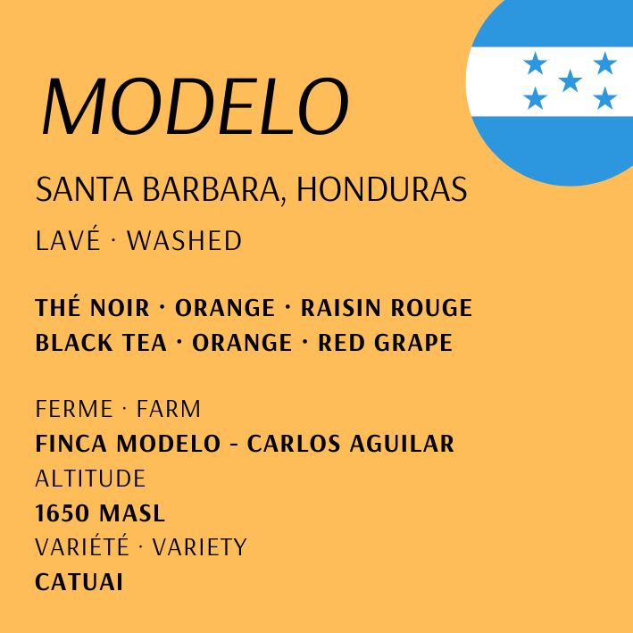 Modelo du Honduras