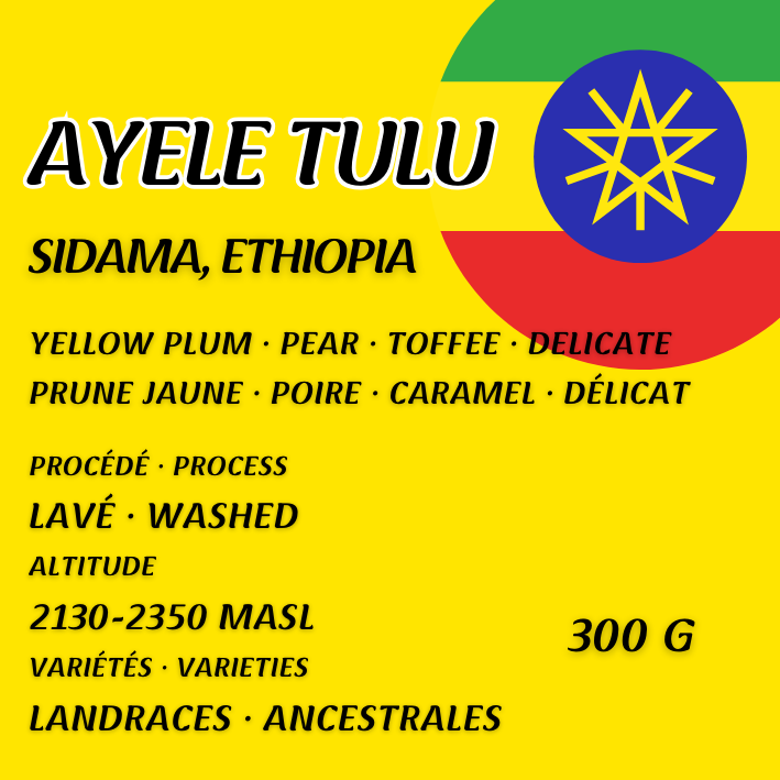 Ethiopia - Ayele Tulu