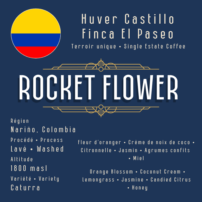 COLOMBIE / Rocket Flower