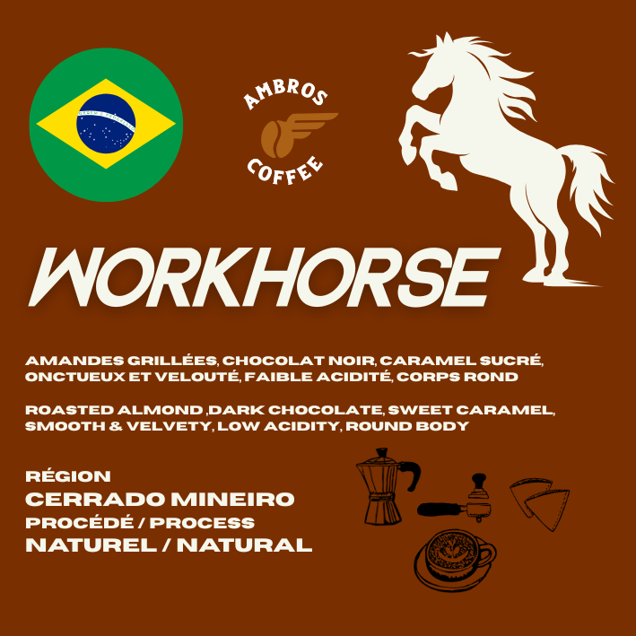 Workhose from Brazil