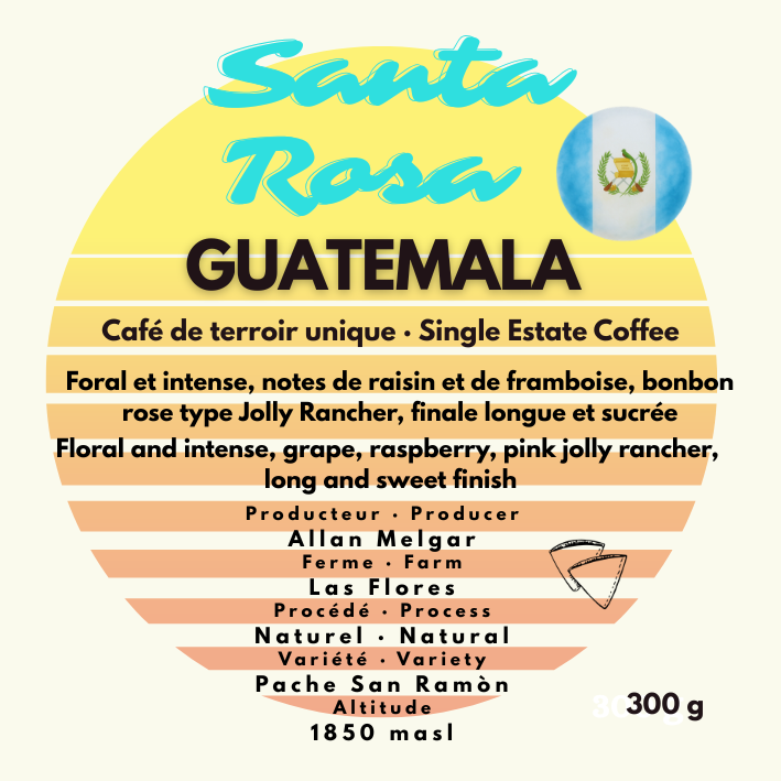 GUATEMALA / Santa Rosa (Single Estate)