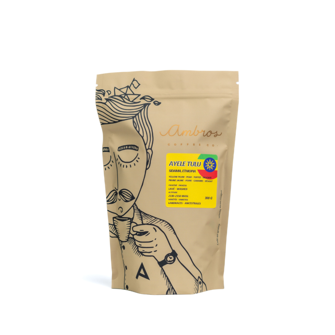 Ethiopia - Ayele Tulu