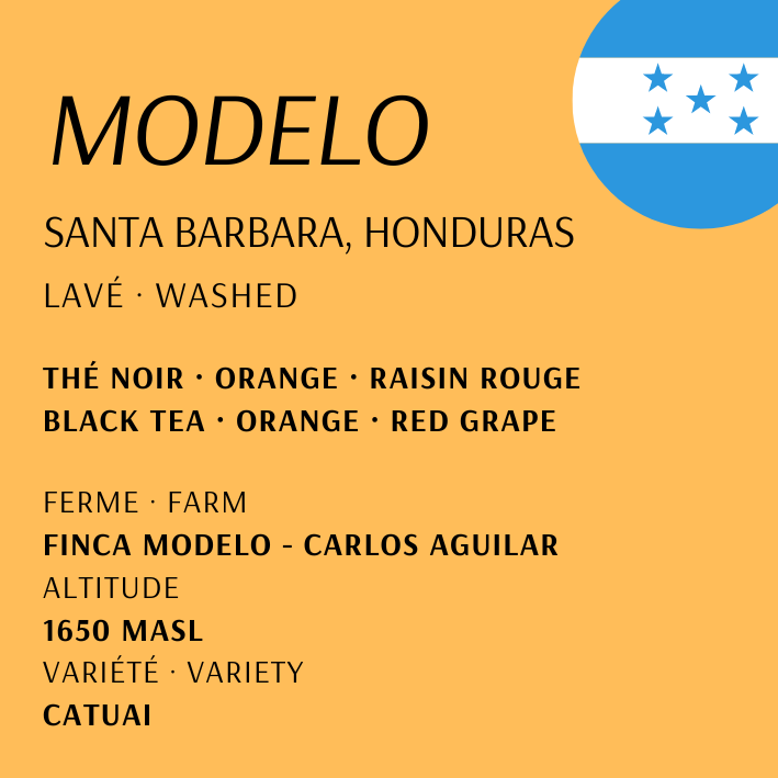 Modelo from Honduras